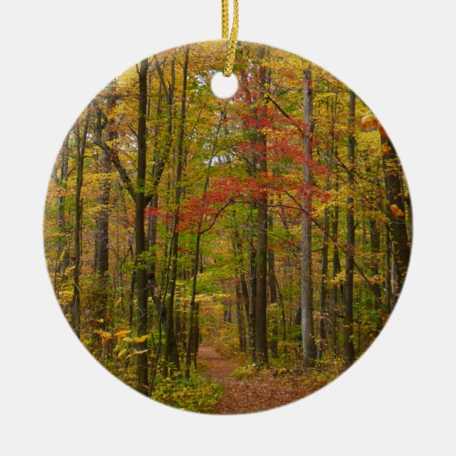 Laurel Hill Trail in Fall Ceramic Tree Decoration (Front)