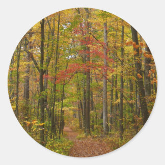 Laurel Hill Trail in Fall Classic Round Sticker