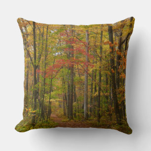 Laurel Hill Trail in Fall Cushion