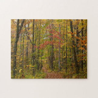 Laurel Hill Trail in Fall Jigsaw Puzzle