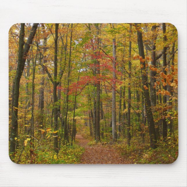 Laurel Hill Trail in Fall Mouse Pad (Front)