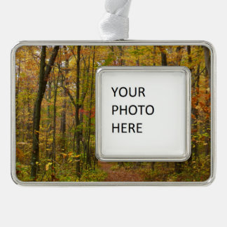 Laurel Hill Trail in Fall Silver Plated Framed Ornament
