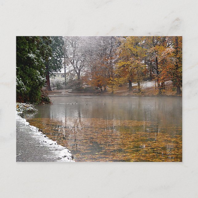 Laurelhurst Pond Postcard (Front)