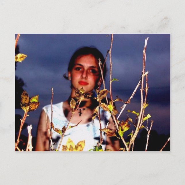 LaurenPostcard1 Postcard (Front)