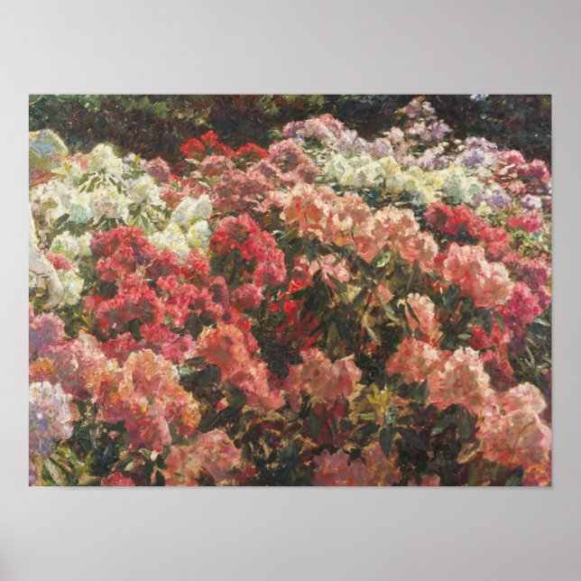 Laurits Tuxen - Rhododendron In Tuxen's Garden Poster (Front)
