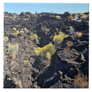 Lava Butte Trail, OR Tile