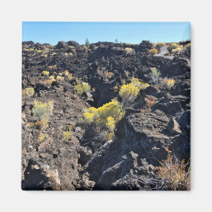 Lava Butte Trail, Oregon Magnet