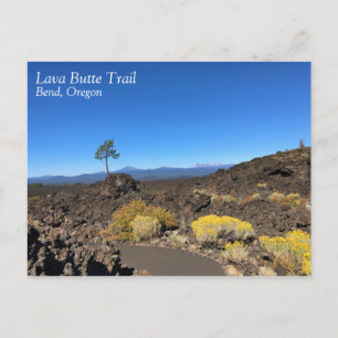 Lava Butte Trail, Oregon Postcard