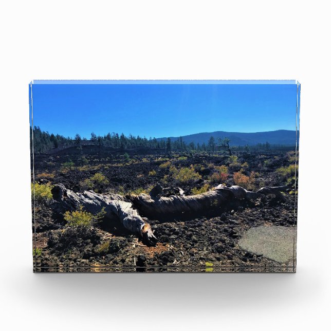 Lava Cast Forest, OR Photo Block (Front)