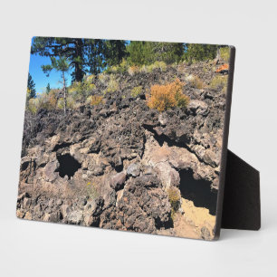 Lava Cast Forest, OR Plaque