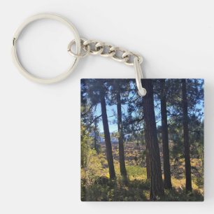 Lava Cast Forest, Oregon Key Ring