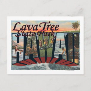 Lava Tree State Park, Hawaii Postcard