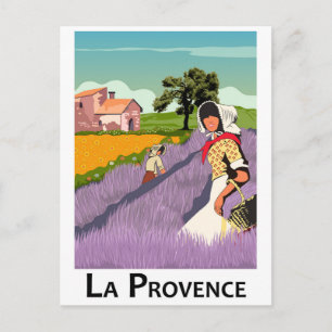 Lavanda Field in Provence, France Postcard