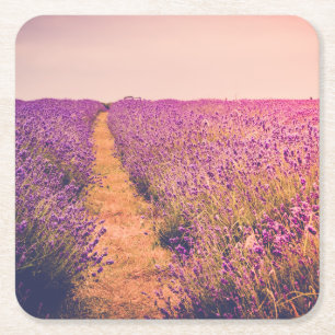 Lavander Square Paper Coaster