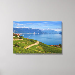 Lavaux region, Vaud, Switzerland Canvas Print