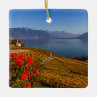 Lavaux region, Vaud, Switzerland