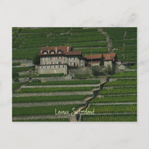Lavaux, Switzerland Postcard