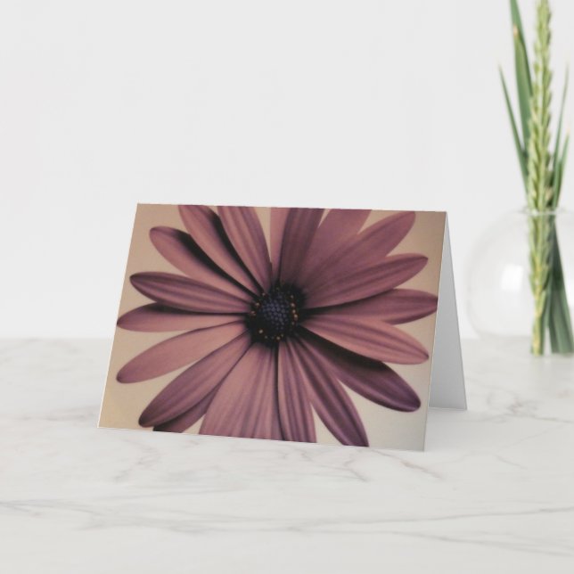 Lavendar Daisy Card (Front)