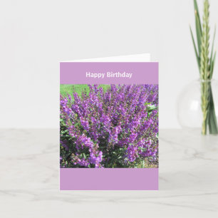 Lavendar Flowers Birthday Wishes Card