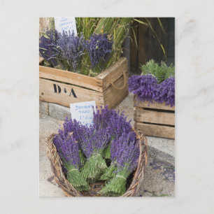 Lavendar for sale, Provence, France Postcard