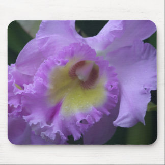 Lavendar Iris Mousepad