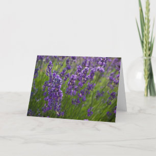 Lavendar Lavendel Card