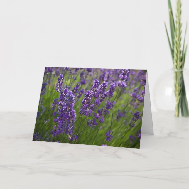Lavendar | Lavendel Card (Front)