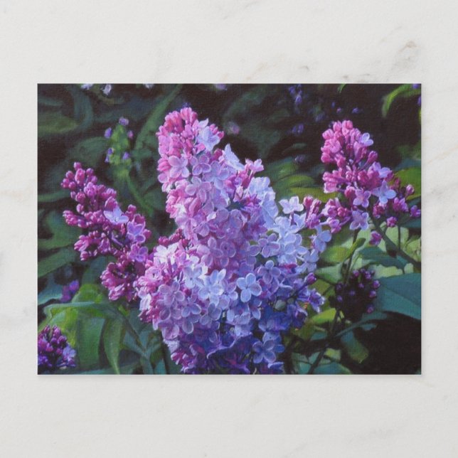 Lavendar Lilac Postcard (Front)
