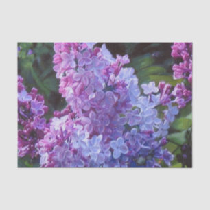 Lavendar Lilacs Tissue Paper