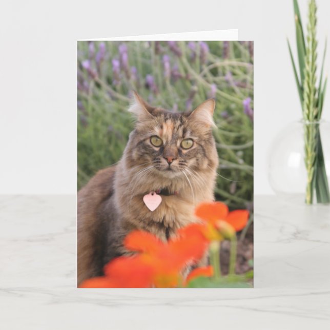 Lavendar, Nasturtium,  and a Tortoiseshell Cat Card (Front)