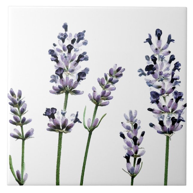 Lavendar | Purple Floral Flowers Pastel Tile (Front)