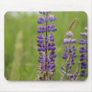 Lavender Alaskan Lupines Mouse Pad