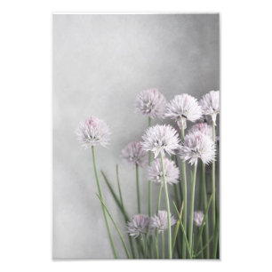 Lavender And Green Chives On Soft Grey Photo Print