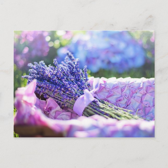 Lavender Basket Purple Spring Meadow Postcard (Front)
