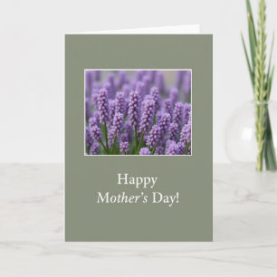 Lavender Blooms Photo Card