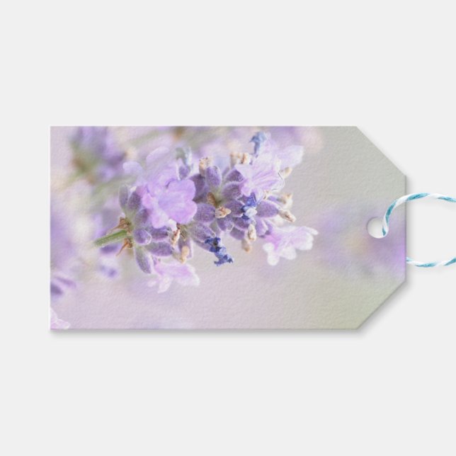 Lavender Bokeh Photographic Gift Tag (Front (Horizontal))