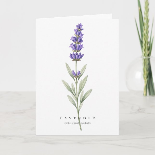 Lavender Botanical Art Symbol of Devotion and Calm Card (Front)