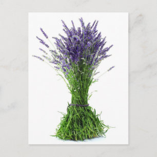 Lavender bouquet postcard