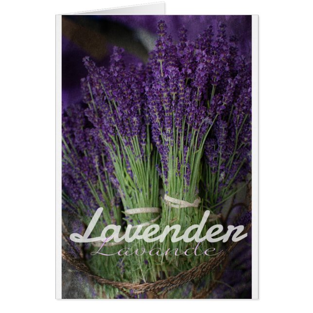 Lavender Bunch (Front)