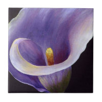 Lavender Calla Lily