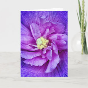 Lavender Chiffon Hibiscus Blank Greeting Card