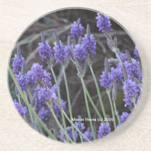 Lavender - Coaster