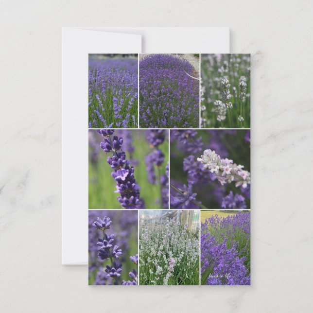 Lavender Collage 2  Card (Front)