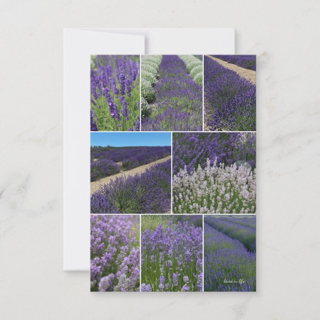 Lavender Collage  Card (Front)