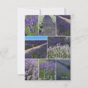 Lavender Collage Card