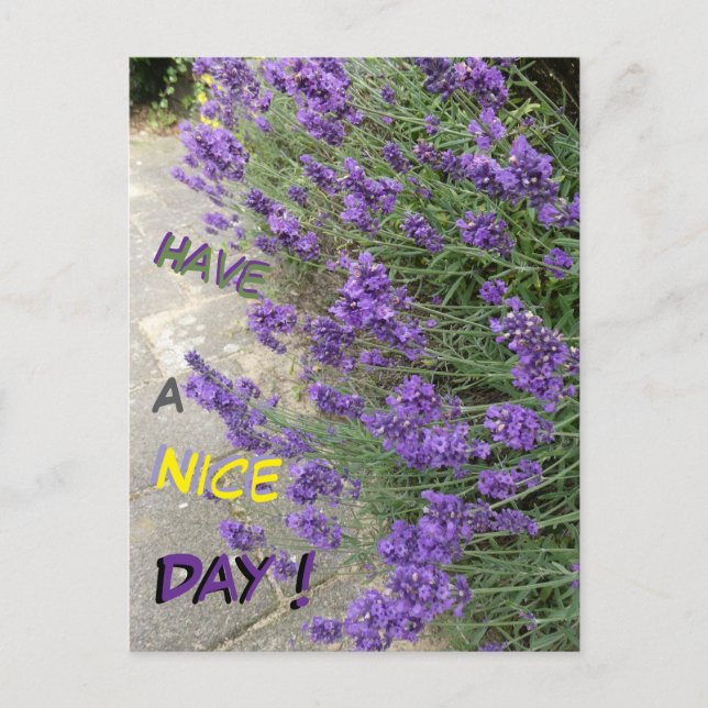Lavender Cust. Text Have a Nice Day Postcard (Front)