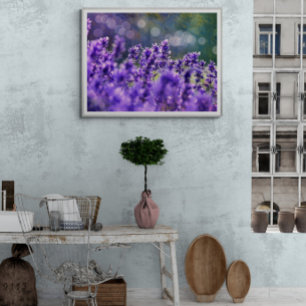 Lavender dreams photo print