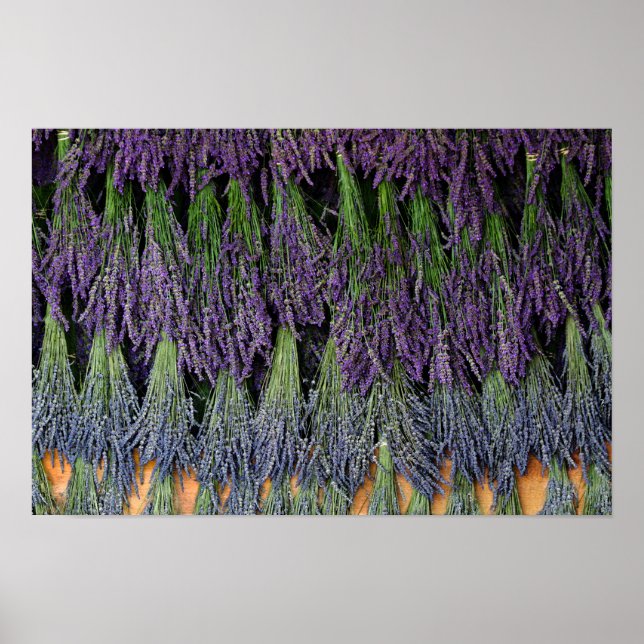 Lavender Drying Rack Poster (Front)