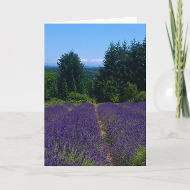 Lavender Farm Card (Front)