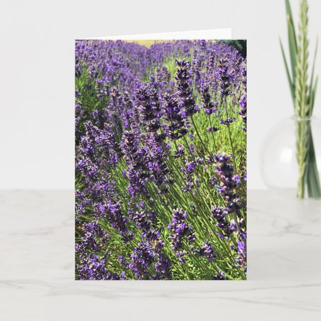 Lavender Farm Card (Front)